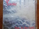 Trouble-Run to the Light (1987) #Vinyl, Vinyl excellent cond. Sleeve some wear