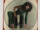 Kate Bush Rare The Kick Inside Picture Disc 2nd Edition..