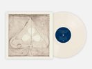 x/1000 Foil Stamped VMP Cream Color Vinyl Grizzly Bear Shields B-Sides / New
