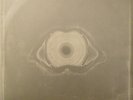 Leftfield Leftfield  2x12