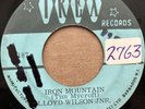 LLOYD WILSON JR. Iron Mountain 45 Grazing In The Grass REGGAE  7