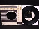 The Kingsmen Louie Louie / Haunted Castle 45 RPM Wand records 143 1963