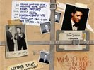 Elvis Presley Welcome Home Elvis Acetates Boxset Frank Sinatra Timex Special