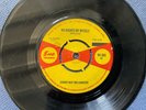SONNY BOY WILLIAMSON - NO NIGHTS BY MY rare UK 1965 / BLUE / R&B / SOUL / SUE EX