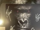 EXTREME SIX  RED BLACK marble VINYL LP record autographed signed album IN HAND