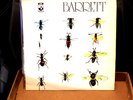 Syd Barrett, UK Press, textured cover, Harvest, lp  Free shipping
