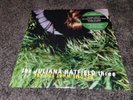 The Juliana Hatfield Three Become What You Are LP Red LP Vinyl Record Sealed