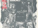 Ramones Sheena Is A Punk Rocker 7