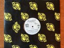 ESHAM Mental Stress 12 inch Single Record Vinyl RARE 1995
