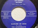 THE DOWNBEATS Darling of Mine/Come On Over Baby SARG 168-45 Texas Rock/Soul VG+