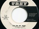 BARBARA DANE*I'M ON MY WAY*DEMO*VG*LISTEN