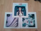 Lana Del Rey - Lust For Life [VINYL] See Pictures. Everything Included. Great