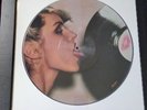 Blondie Parallel Lines Album Picture Disc Vinyl Record LP. 12