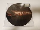 Mayday Parade - Sunnyland Vinyl LP Picture Disc 2018 BRAND NEW
