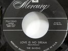 The RAVENS 45 I've Got You Under My Skin MERCURY 2nd press VG++ doowop   Sw 205