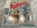 Sufjan Stevens Michigan 1921  Centenary Red Vinyl LP New & sealed HMV X2