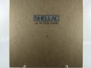 Shellac - At Action Park Vinyl Record