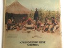 THOMAS MAPFUMO & THE BLACKS UNLIMITED Gwindingwi Rine Shumba - Zimbabwe Afro LP