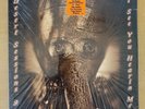 Desert Sessions 9 & 10 SEALED Hype Sticker QOTSA, PJ Harvey, Ipecac