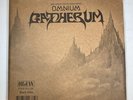 King Gizzard & The Lizard Wizard Omnium Gatherum (2 Vinyls)