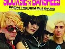 Siouxsie / Banshees - From The Cradle Bars: Live At The De Nieuwe Kade, Tiel, Ho