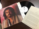 EDWIN BIRDSONG SELF TITLED LP RARE PROMO NM COLA BOTTLE BABY DAFT PUNK ROY AYERS