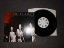 IN FLAMES LP 10