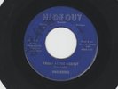 GARAGE 45  - UNDERDOGS - THE MAN IN THE GLASS - HEAR 1965 MICHIGAN HIDEOUT