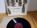 SABL 195 ED1 Sibelius Violin Concerto  DAVID OISTRAKH - UK Philips STEREO LP