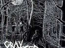 Gray Matter Food For Thought NEW OVP Dischord Vinyl LP