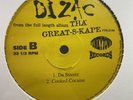 PRIVATE 1996 SOUTHERN TX RANDOM RAP G-FUNK 12” Dizac SEALED  Funkytown Hip Hop