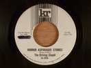 The Driving Stupid  Horror Asparagus Stories 1 Sided Promo RARE Garage, Psych