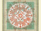 Trampled By Turtles Life Is Good On The Open Road Records & LPs New