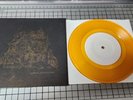 Circa Survive - B-Sides (Gold W/ Black Sleeve) 7