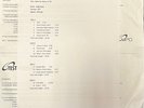 LYNYRD SKYNYRD- BACK FOR MORE IN '94 DLP  RARE  TEST PRESSING