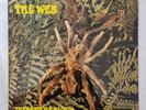 The Web - Theraphosa Blondi UK LP 1969 Rare Deam Stereo Psych Sleeve ONLY