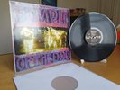 Temple of the Dog Temple of the Dog 1991 1st Press LP Vinyl A&M Records 395 3501