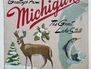 Sufjan Stevens MICHIGAN STATE AKR 2LP Blue/Green Vinyl 500 1st Edition In Hand