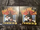 Hank Williams Jr SIGNED LP VINYL autographed Rich White Honky Blues MetallicGold