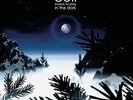 COIL - MUSICK TO PLAY IN THE DARK [VINYL]