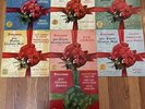 x7 Firestone Christmas Records Albums COMPLETE 1-7 Volumes Cleaned VG+ Vinyl
