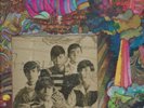 FLAT EARTH SOCIETY -- Waleeco -- super rare LP
