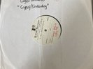 Gogol Bordello ‘Gypsy Punks’ Vinyl Test  press - Double Lp - Rare