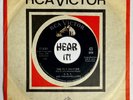 Wild R&B Instro Rocker Novelty 45 D.D.T. & THE REPELLANTS Fly Swatter RCA hear