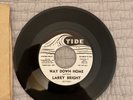 Larry Bright 45 Bloodhound/ Way Down Home Promo Rare,  Excellent