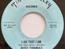 Mike Thomas I Am That I Am Rare C&W Folk Psych Garage Song Poem Tin Pan Alley 45