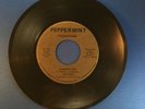 LEFT END Sunshine Girl  1971 7