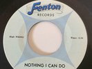 THE SHEFFIELDS  MICHIGAN GARAGE ROCK 45 FENTON LABEL #980 NOTHING I CAN DO