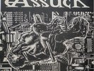 ASSUCK-MISERY INDEX -LP POLLUTE 34 1997 US VINYL EX/EX