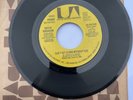 Dutch Robinson - Can't Get Along Without You - United Artists records Promo